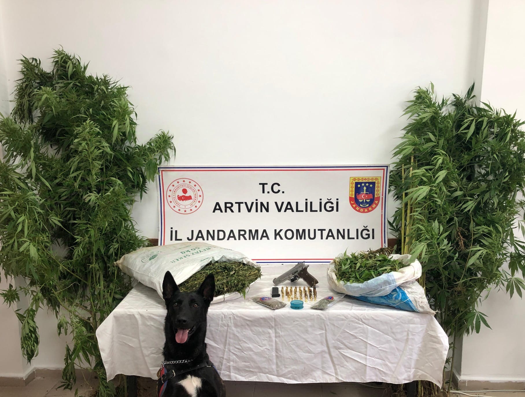 Artvin'de 2 zehir taciri tutuklandı
