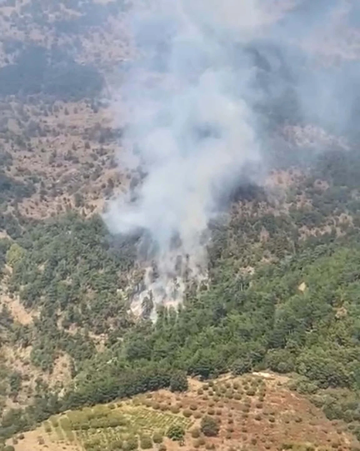 İzmir'de orman yangını (26 Eylül 2024)