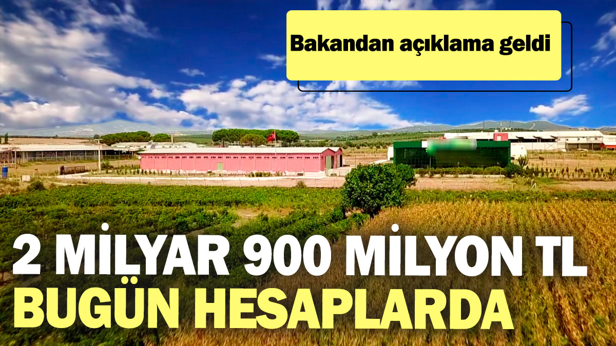 2 milyar 900 milyon TL bugün hesaplarda! Bakandan açıklama geldi