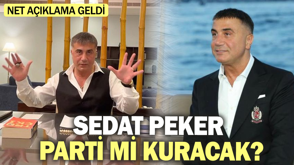 Sedat Peker Parti mi kuracak? Net açıklama geldi