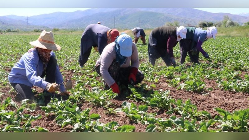 Çiftçi borçlarının yapılandırılması için teklif