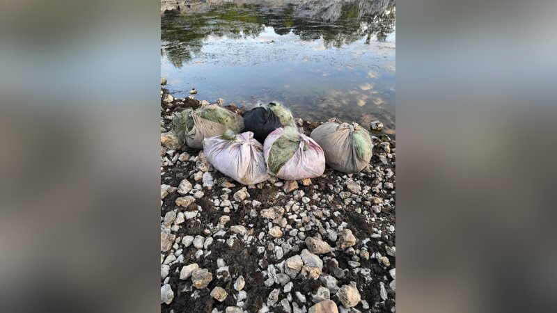 Kovada Gölü Milli Parkı'nda 5 takım uzatma ağı ele geçirildi