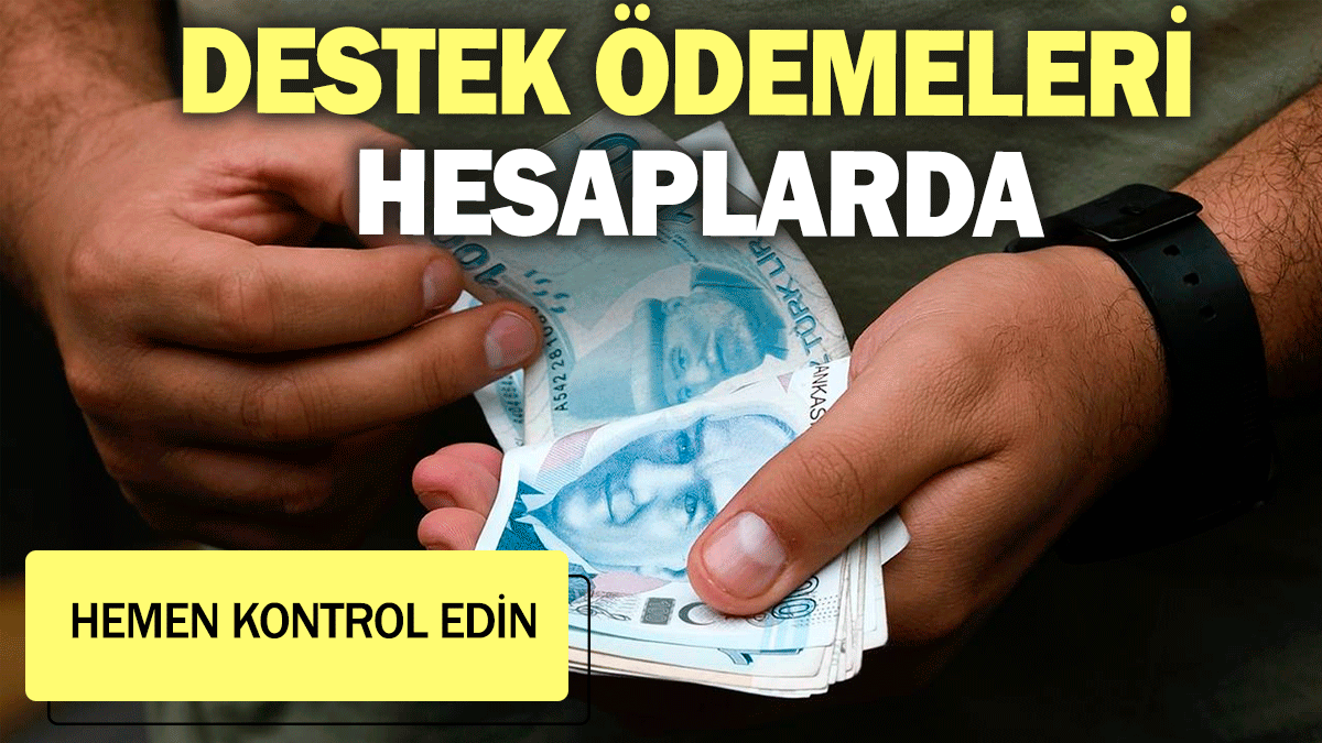 Destek ödemeleri hesaplarda: Hemen kontrol edin