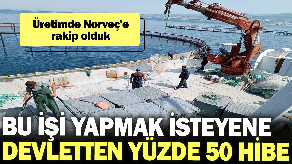 Üretimde Norveç'e rakip olduk: Bu işi yapmak isteyene devletten yüzde 50 hibe