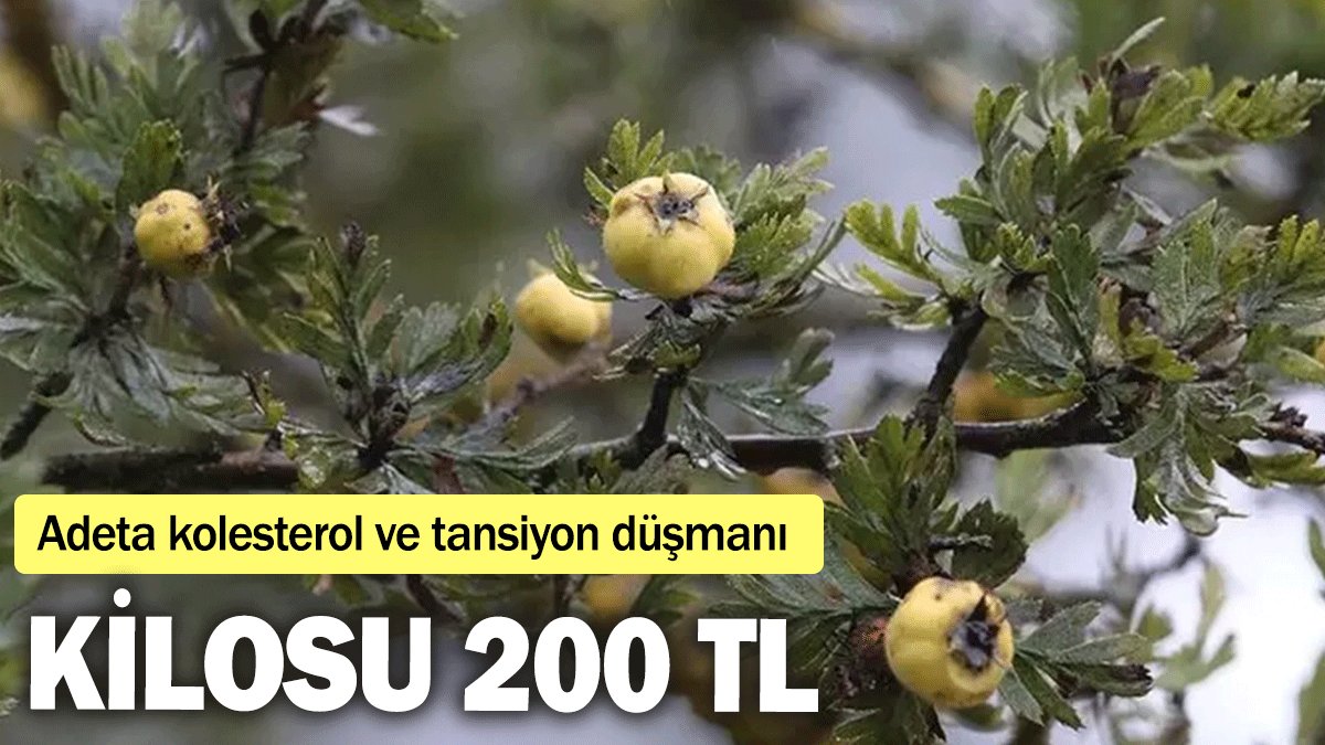 Adeta kolesterol ve tansiyon düşmanı: Kilosu 200 TL