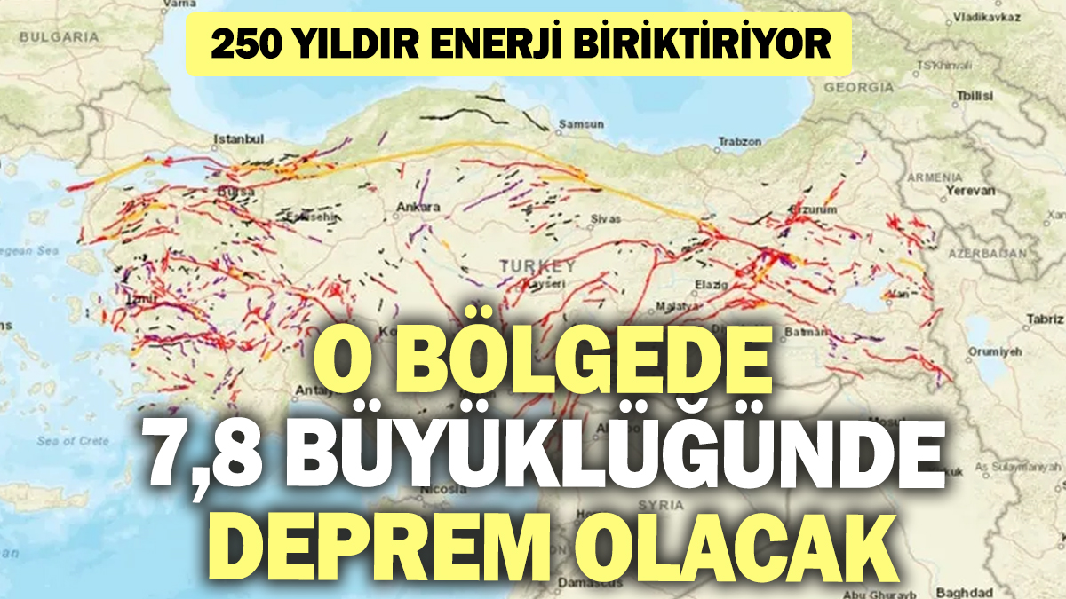 O bölgede 7,8 büyüklüğünde deprem olacak! AFAD Müdürü uyardı