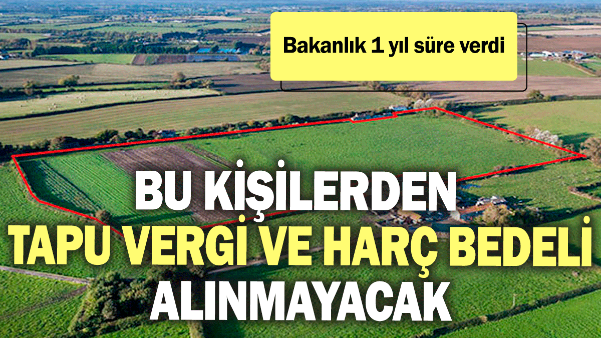 Bu kişilerden tapu vergi ve harç bedeli alınmayacak! Bakanlık 1 yıl süre verdi