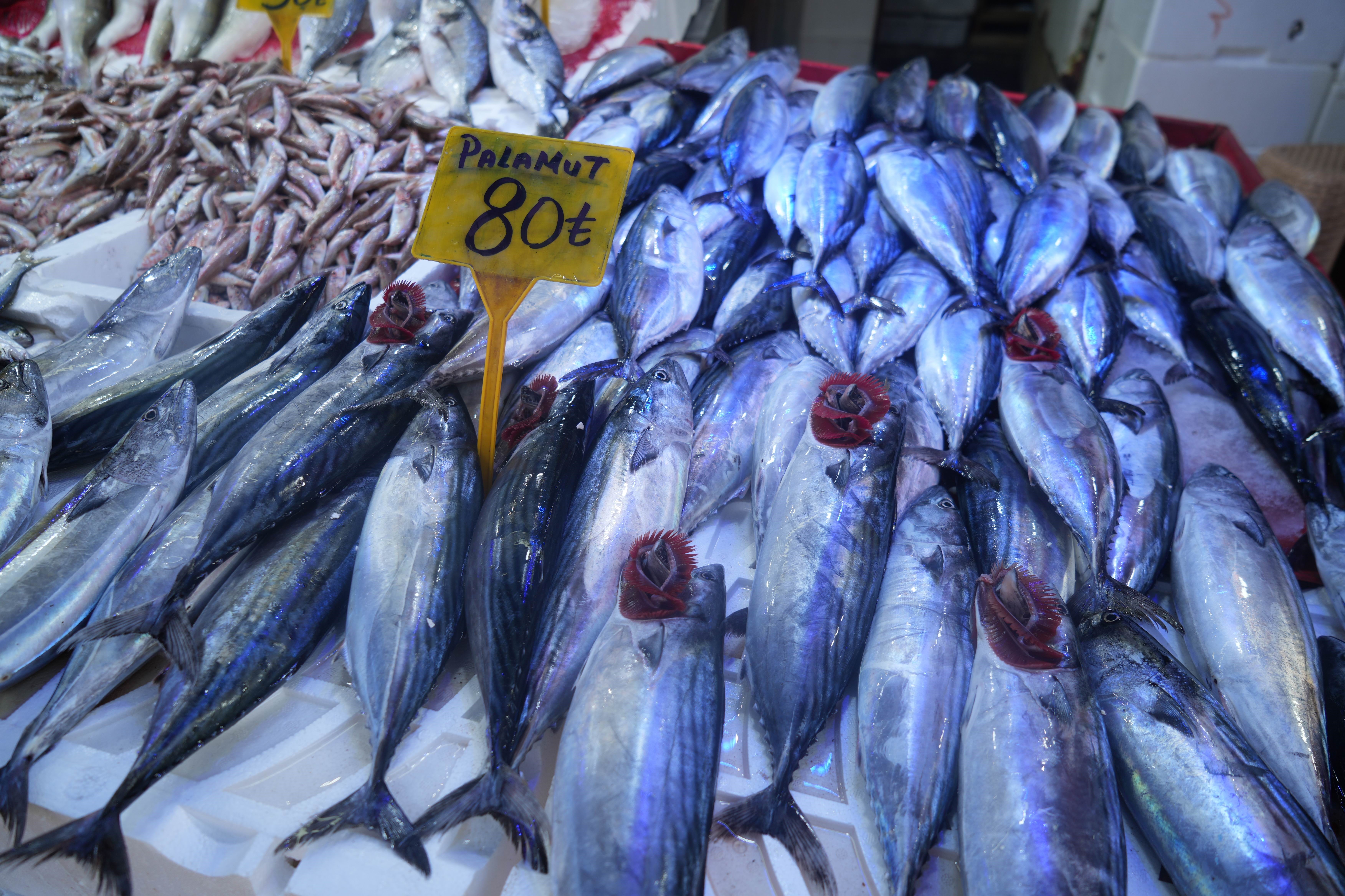 Palamudun fiyatı düştü!