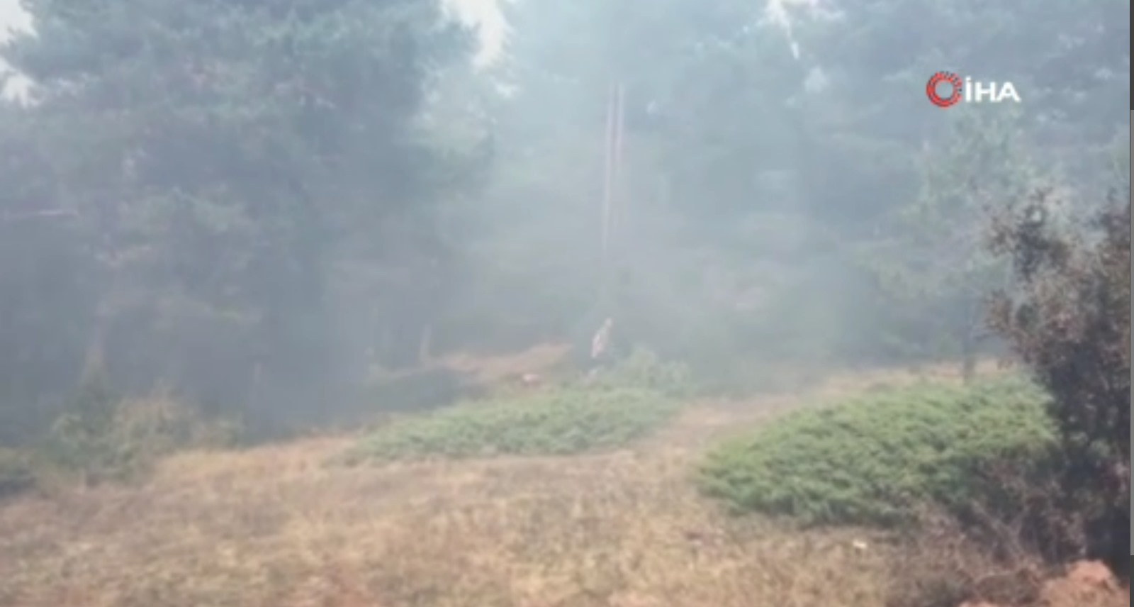 Sivas’ta ormanlık alanda örtü yangınına müdahale sürüyor