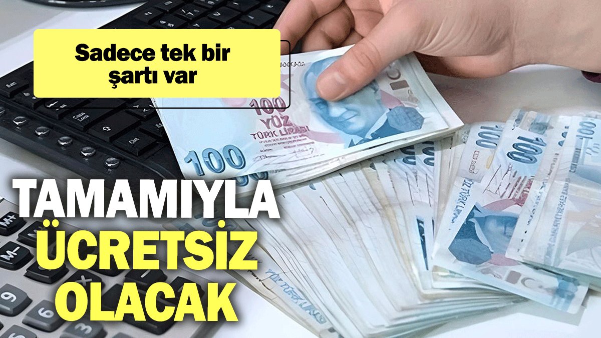 Sadece tek bir şartı var: Tamamıyla ücretsiz olacak