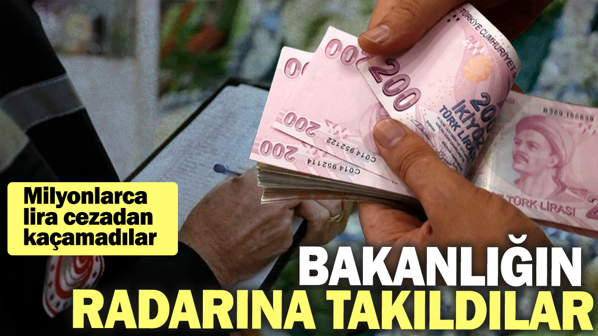 Bakanlığın radarına takıldılar: Milyonlarca lira cezadan kaçamadılar