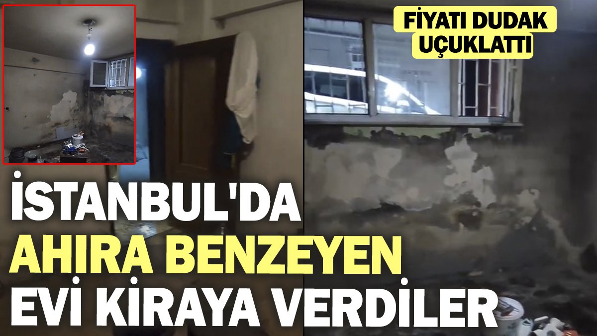 İstanbul'da ahıra benzeyen evi kiraya verdiler! Fiyatı dudak uçuklattı