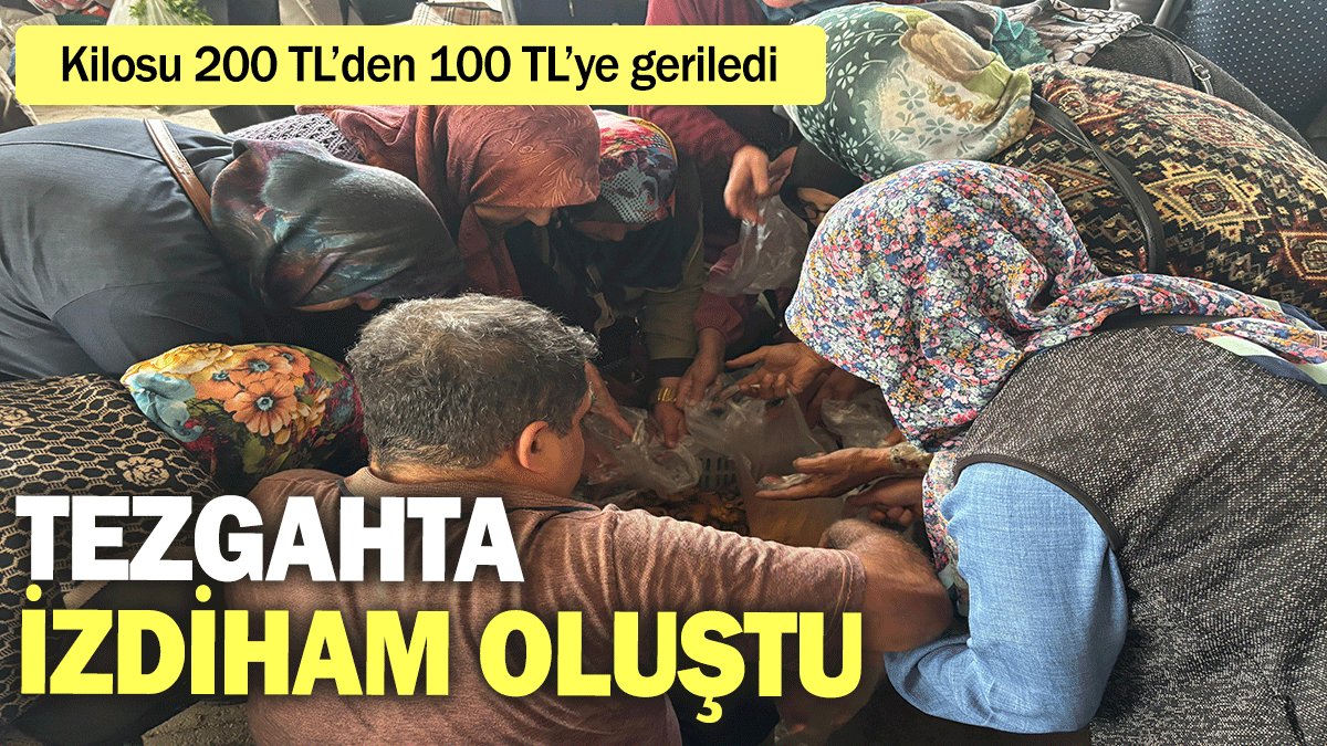 Kilosu 200 TL’den 100 TL’ye geriled, tezgahta izdiham oluştu