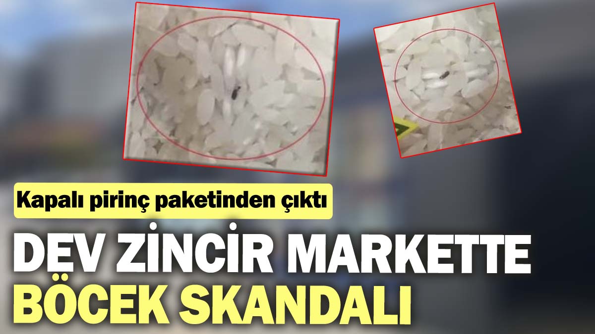 Dev zincir markette böcek skandalı. Kapalı pirinç paketinden çıktı