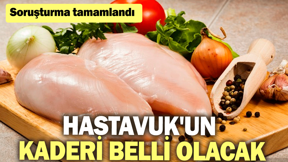 Hastavuk'un kaderi belli olacak: Soruşturma tamamlandı