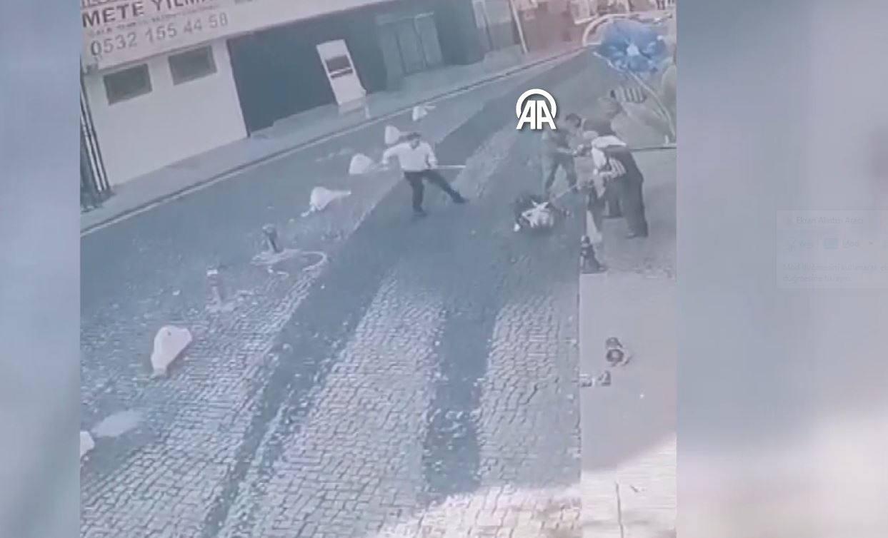 Kocaeli'nde ağızlığı olmayan pitbull sahipli köpeğe saldırdı