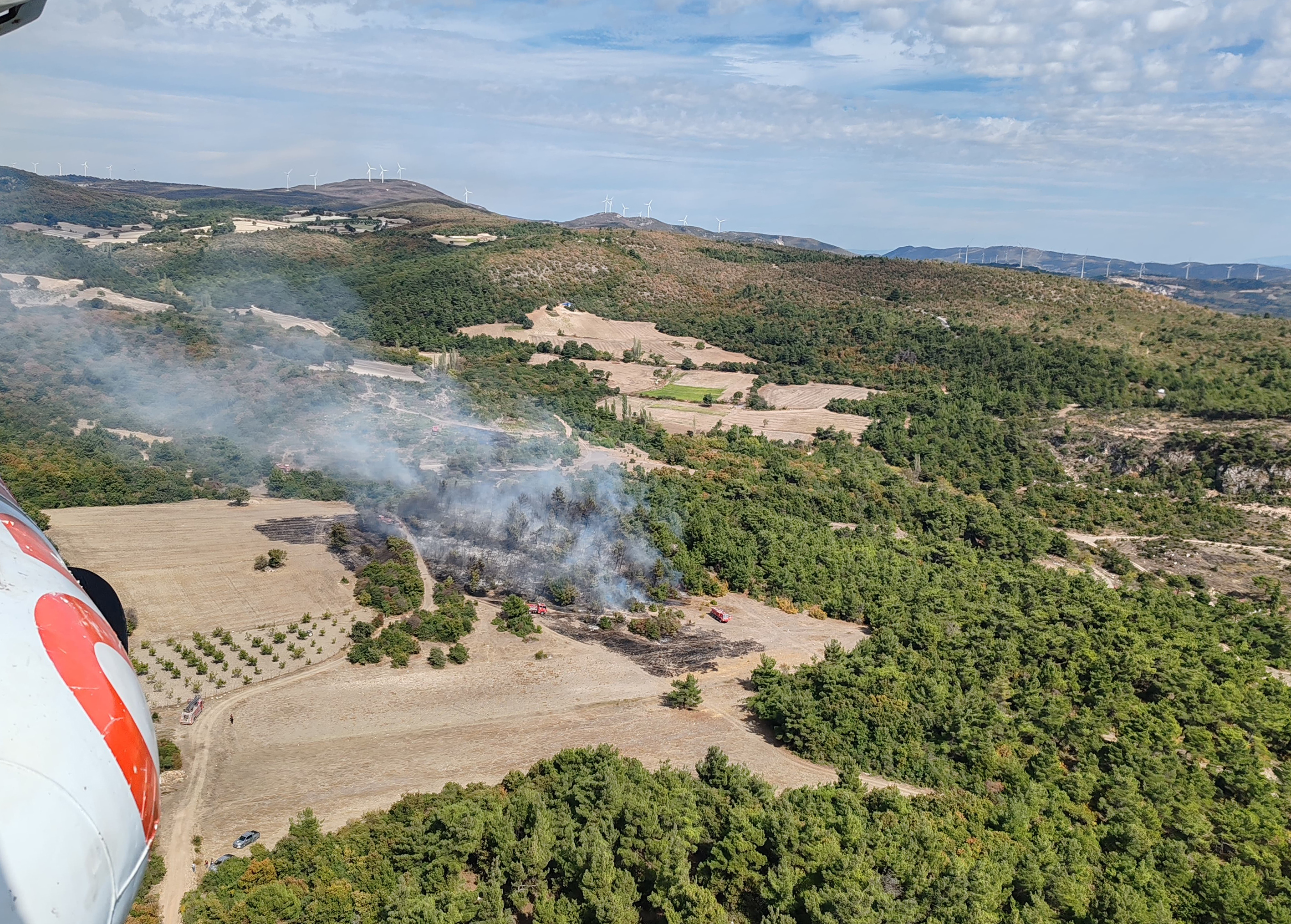 Tarla yangını ormana sıçradı