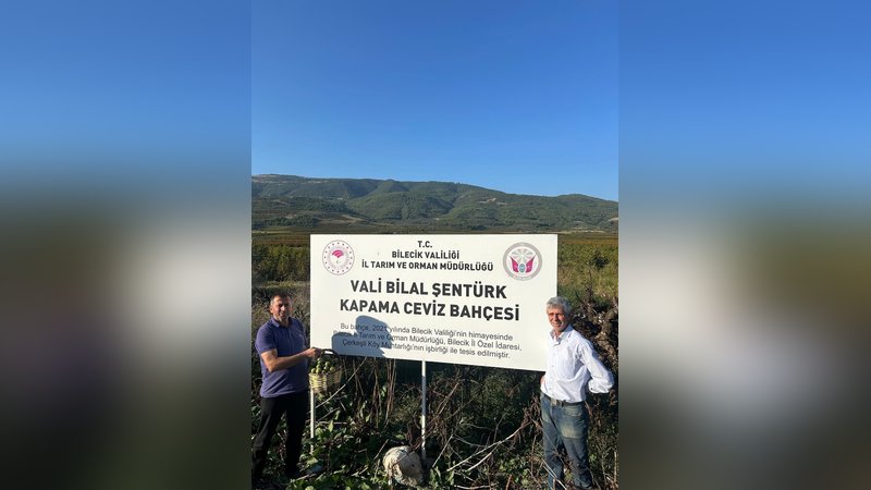 Kavaklığı ceviz bahçesine dönüştüren muhtarlık ilk hasadını yaptı