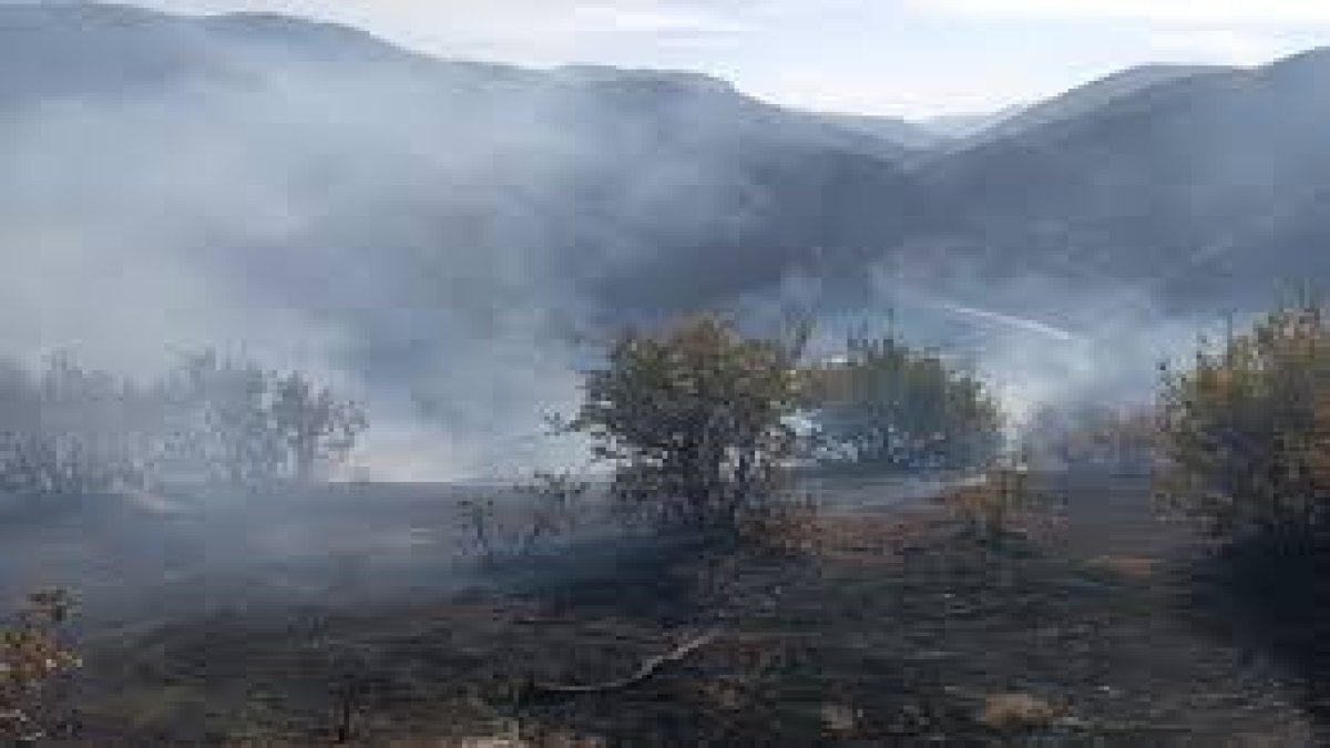 Bitlis’te orman yangını