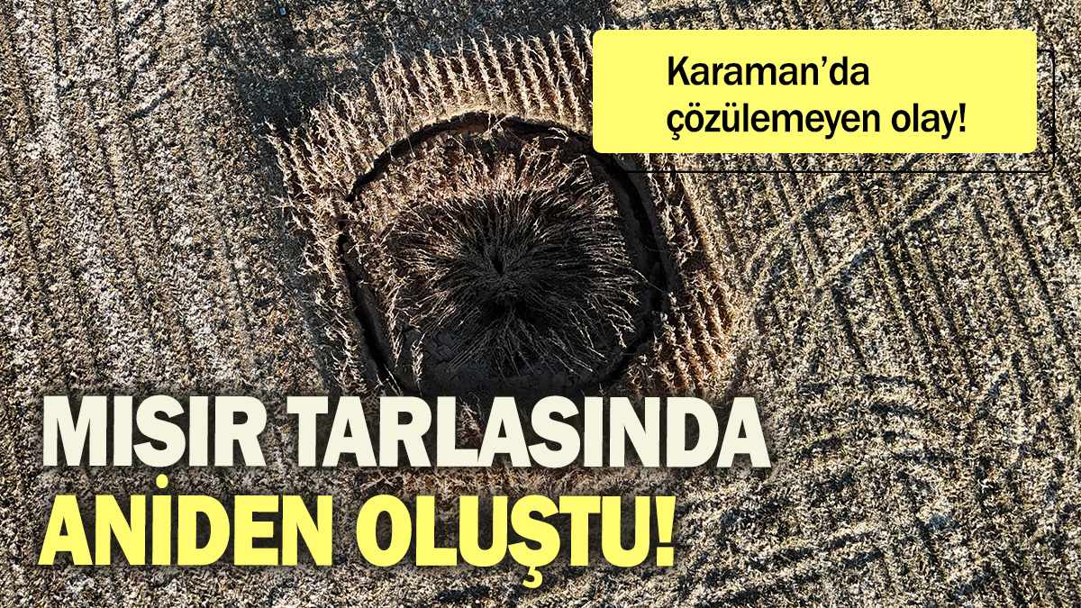 Mısır tarlasında aniden oluştu: Karaman'da çözülemeyen olay!