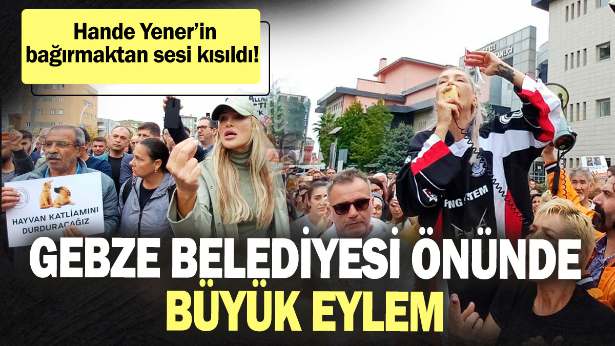 Gebze Belediyesi önünde hayvan katliamı için büyük eylem! Hande Yener’in bağırmaktan sesi kısıldı