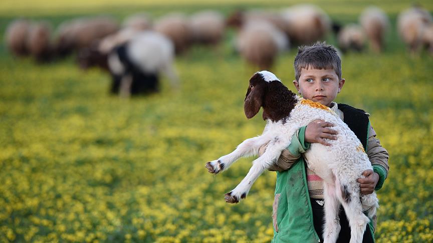Bab'ın çocuklarının okul özlemi
