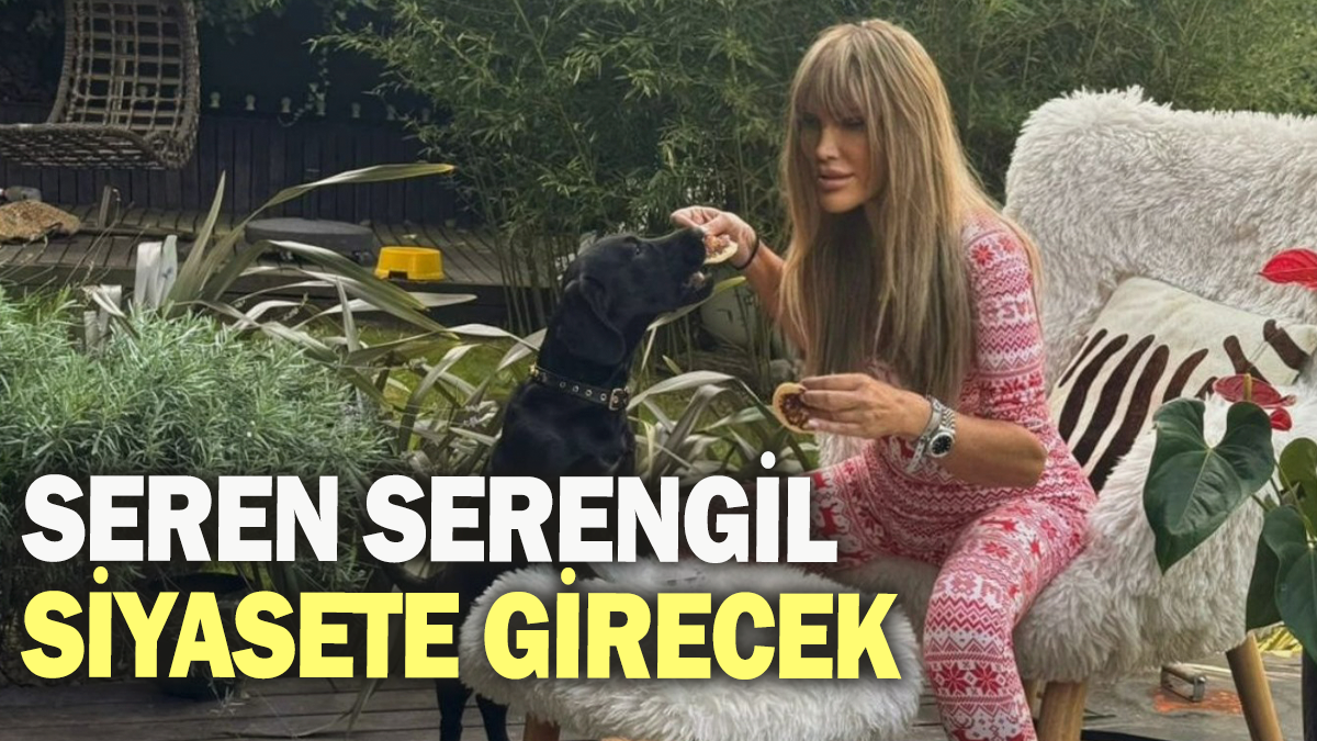 Seren Serengil siyasete girecek