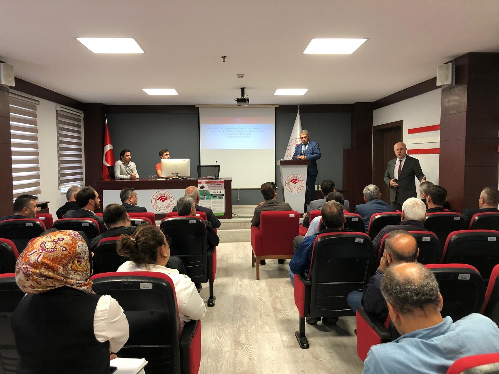 Bafra'da kahverengi kokarca ile mücadele