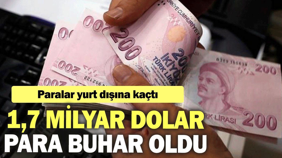 Paralar yurt dışına kaçtı: 1,7 milyar dolar para buhar oldu