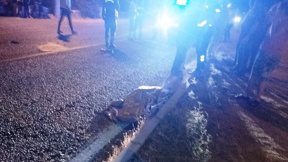 Milas’ta trafik kazası: 1 ölü