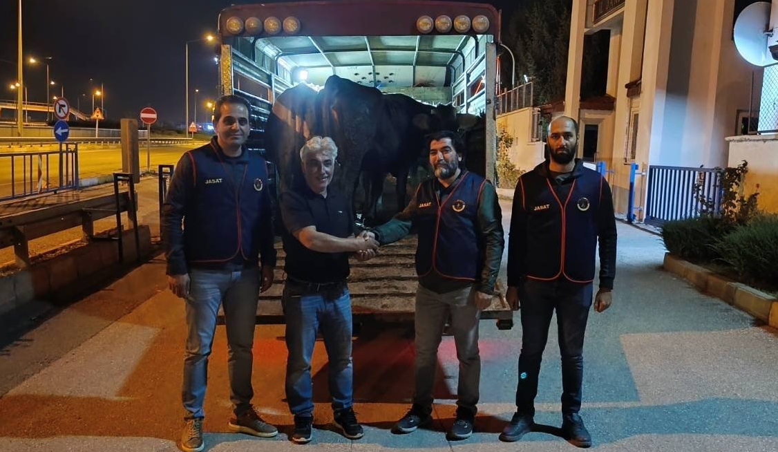 Sivas'ta çalınan hayvanlar Erzincan ve Bayburt'ta bulundu