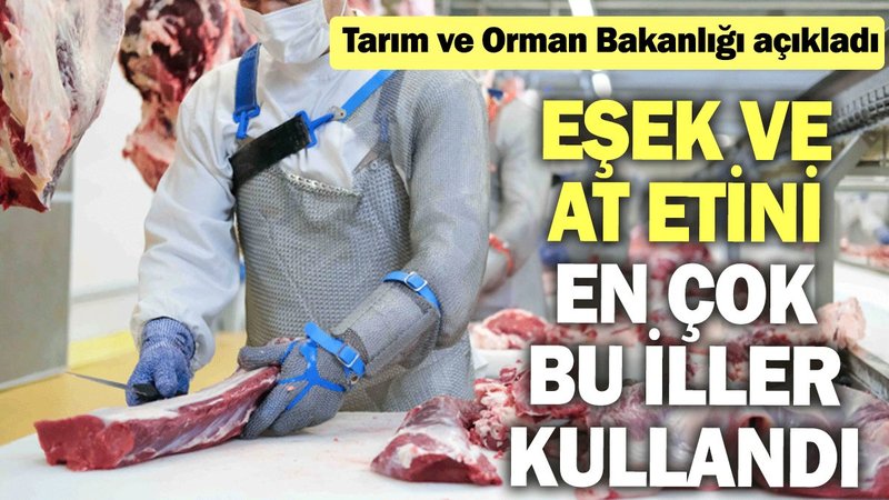 Tarım ve Orman Bakanlığı açıkladı: Eşek ve at etini en çok bu iller kullandı