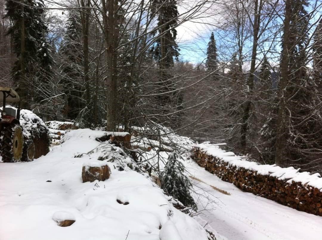 Bartın'da kar ve yağmur aynı anda geldi
