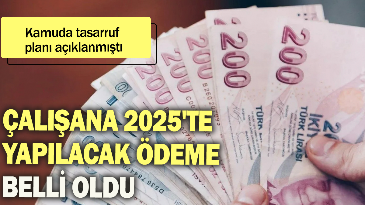 Çalışana 2025'te yapılacak ödeme belli oldu: Kamuda tasarruf planı açıklanmıştı