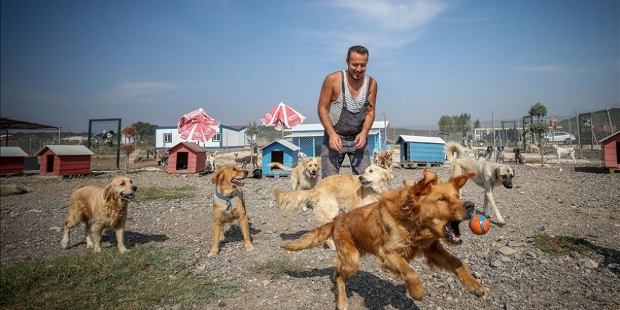Terk edilmiş köpeklerin patilerinden tutuyor