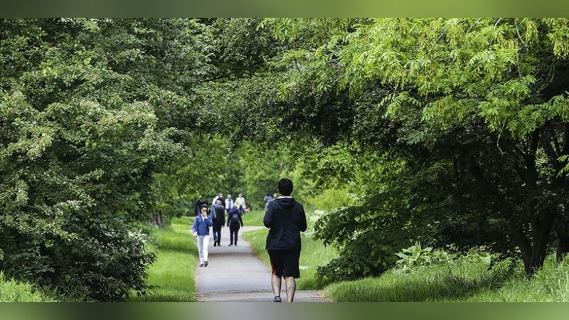 'Sağlıklı uyku için açık havada yürüyün'