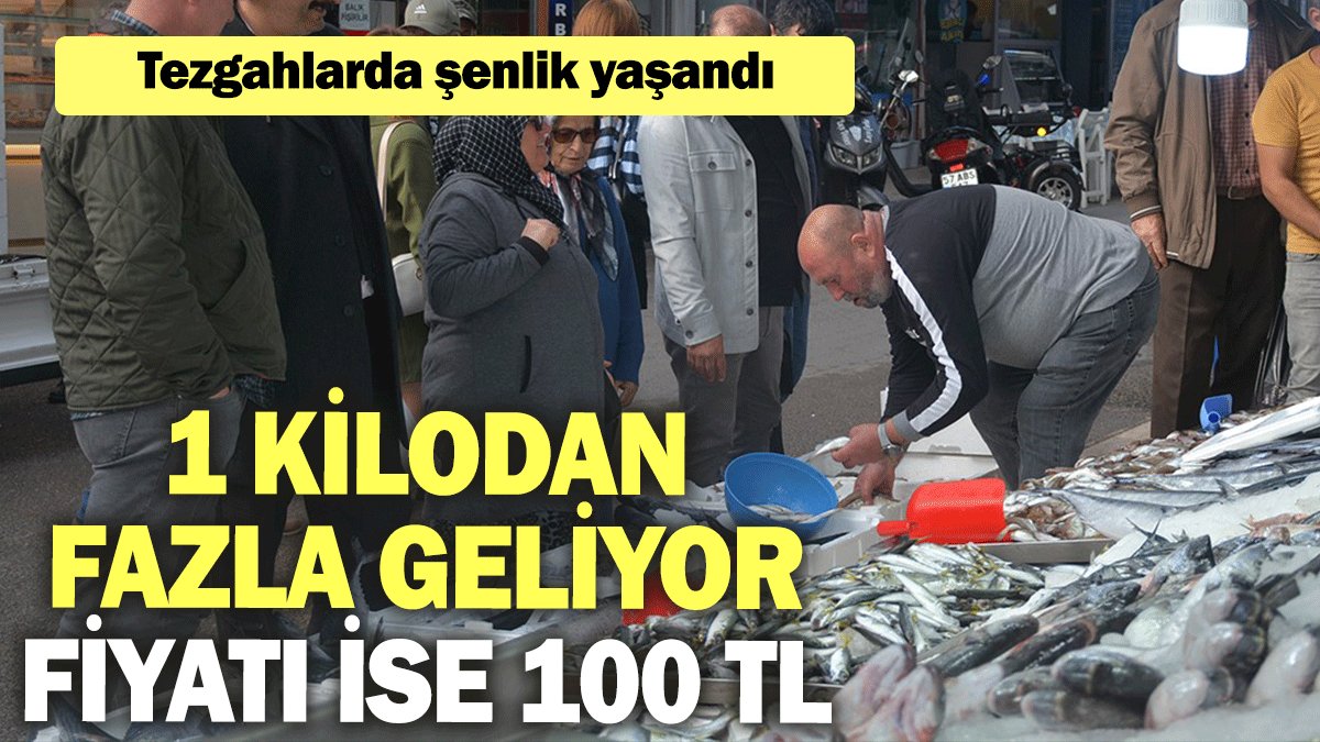 Tezgahlarda şenlik yaşandı: 1 kilodan fazla geliyor, fiyatı ise 100 TL