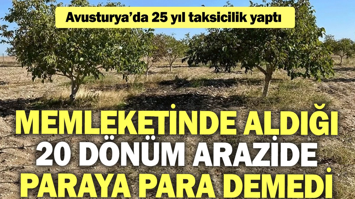 Avusturya’da 25 yıl taksicilik yaptı, memleketinde aldığı 20 dönüm arazide paraya para demedi