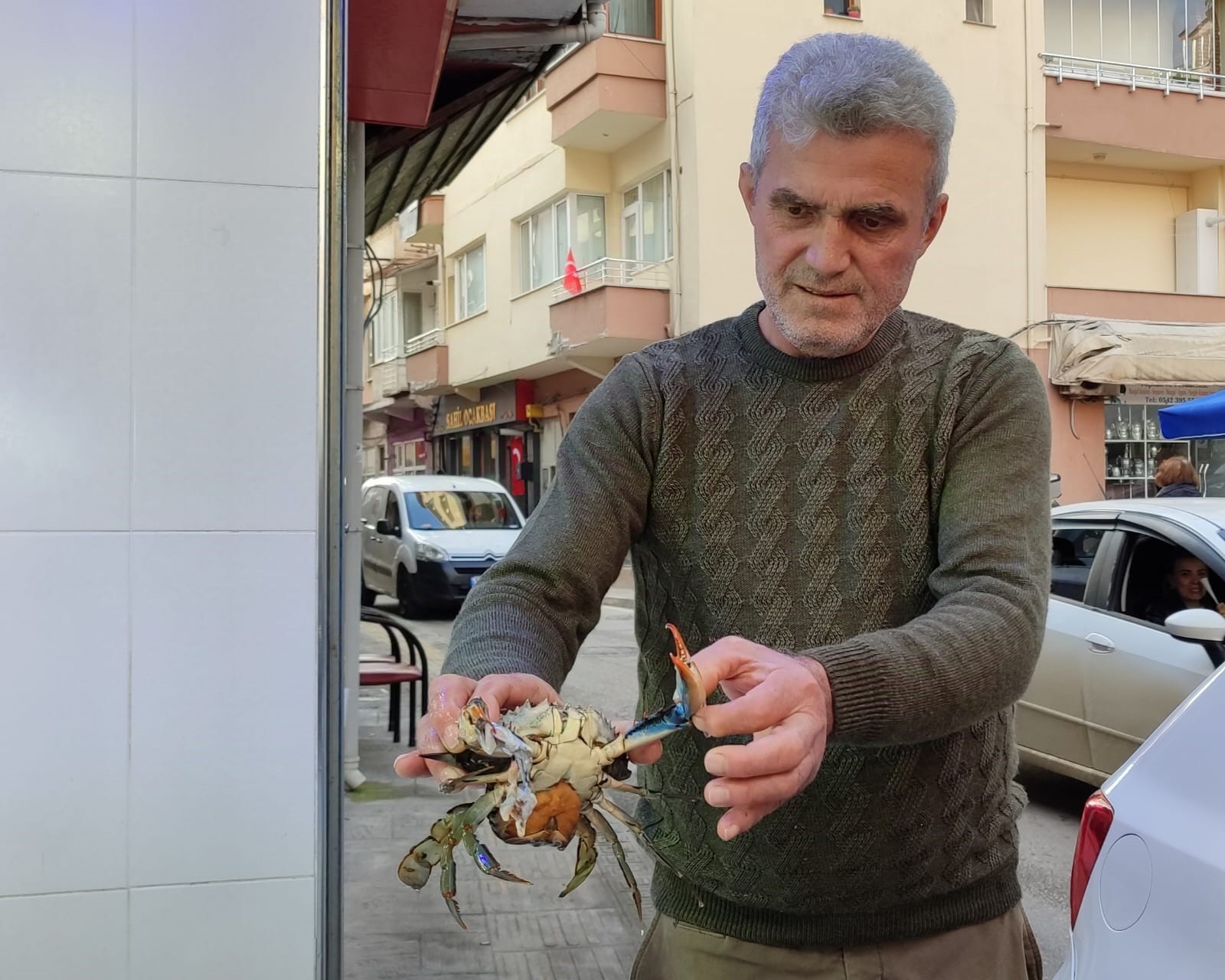 Sinop’ta nadir görülen mavi yengeç ağa takıldı