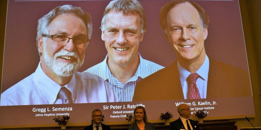 2019 Nobel Tıp Ödülü'nü kazananlar açıklandı