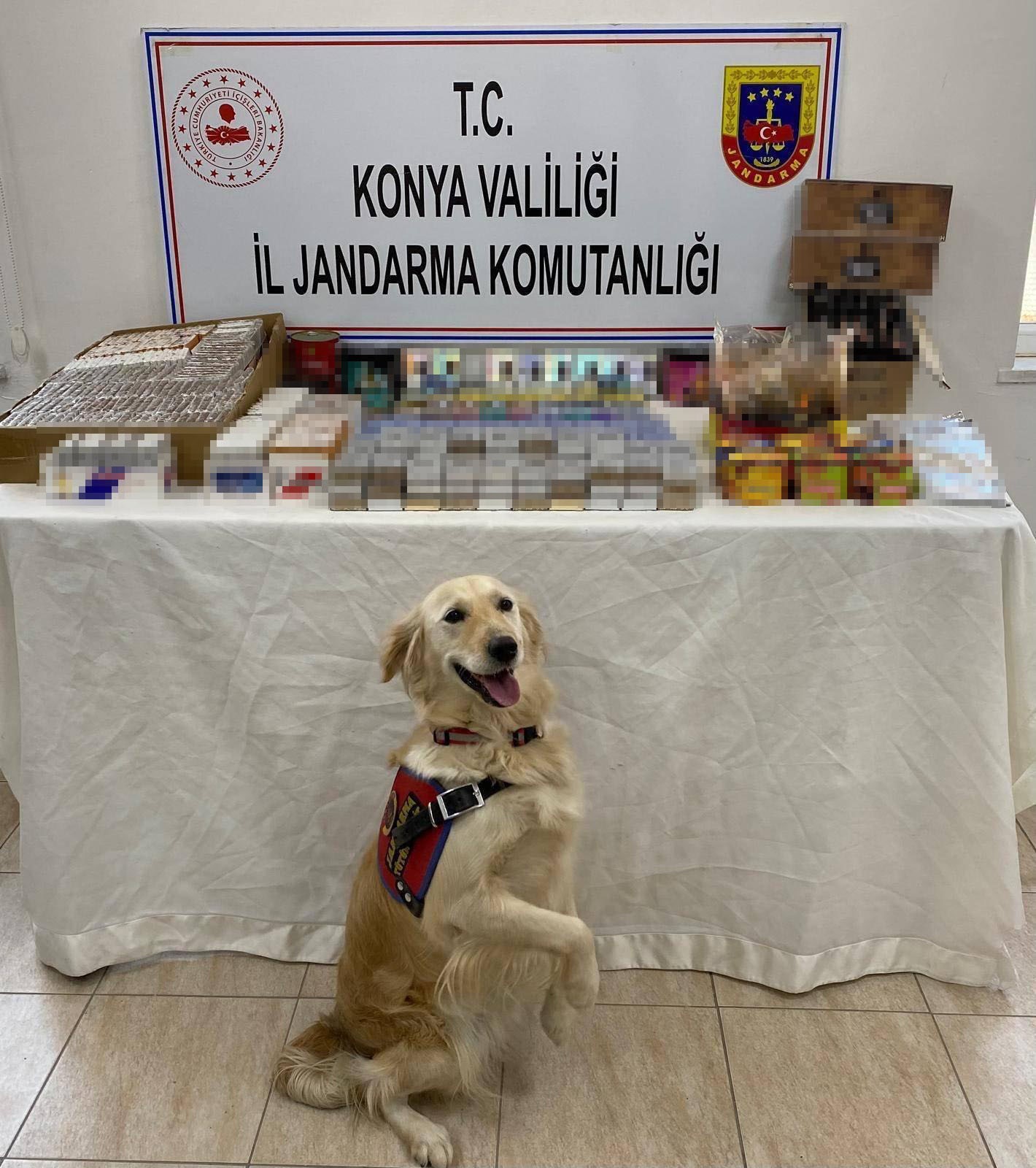 Konya'da kaçakçı operasyonu