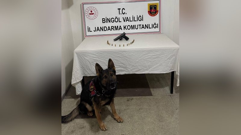 Bingöl’de aranması olan 3 şüpheli yakalandı