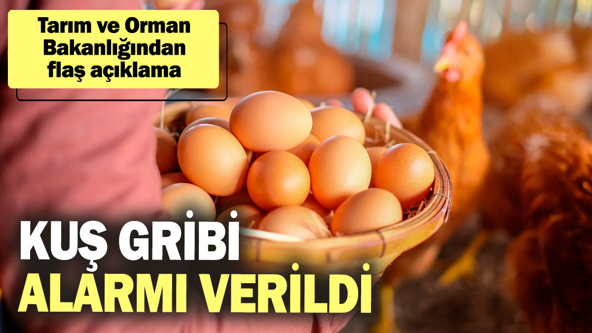 SON DAKİKA... Tarım ve Orman Bakanlığından kuş gribi açıklaması