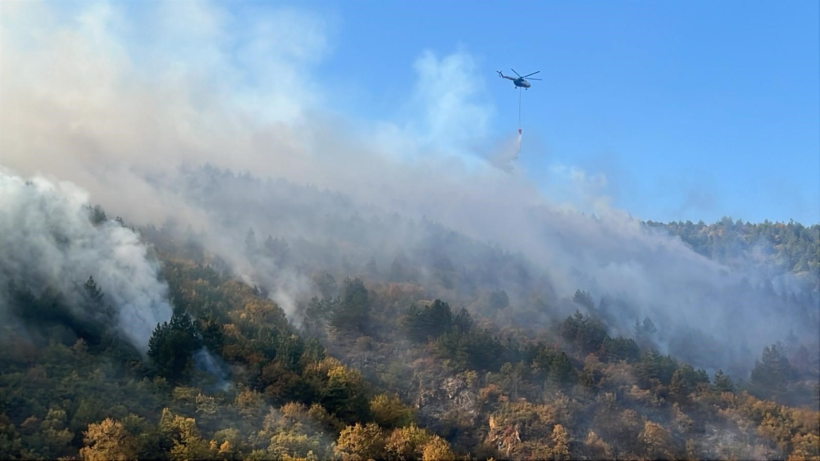 Bilecik'te orman yangınını söndürme çalışmaları devam ediyor