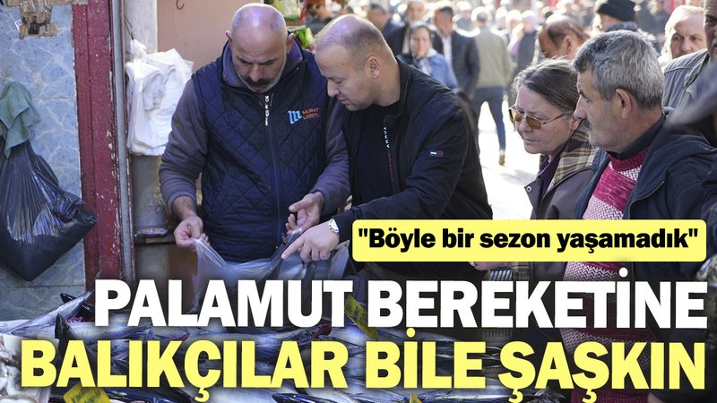 Palamut bereketine balıkçılar bile şaşkın: Böyle bir sezon yaşamadık