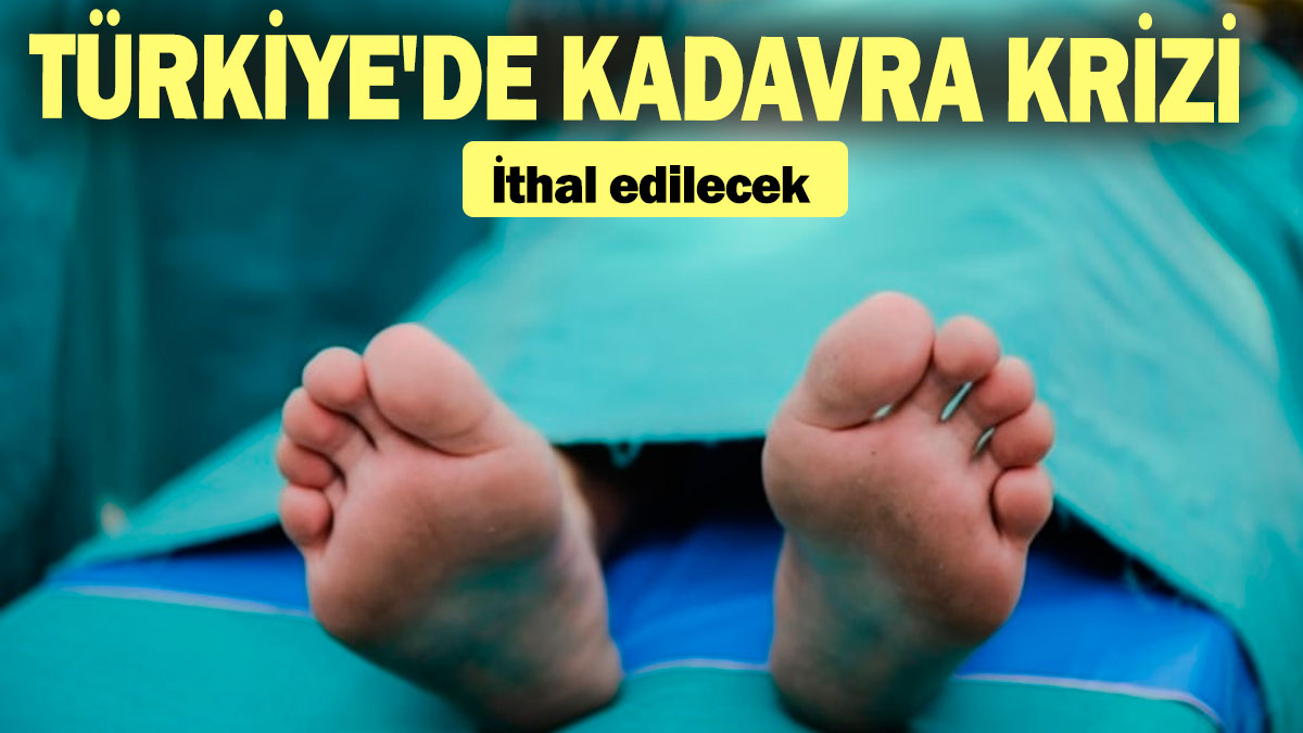 Türkiye'de kadavra krizi: İthal edilecek