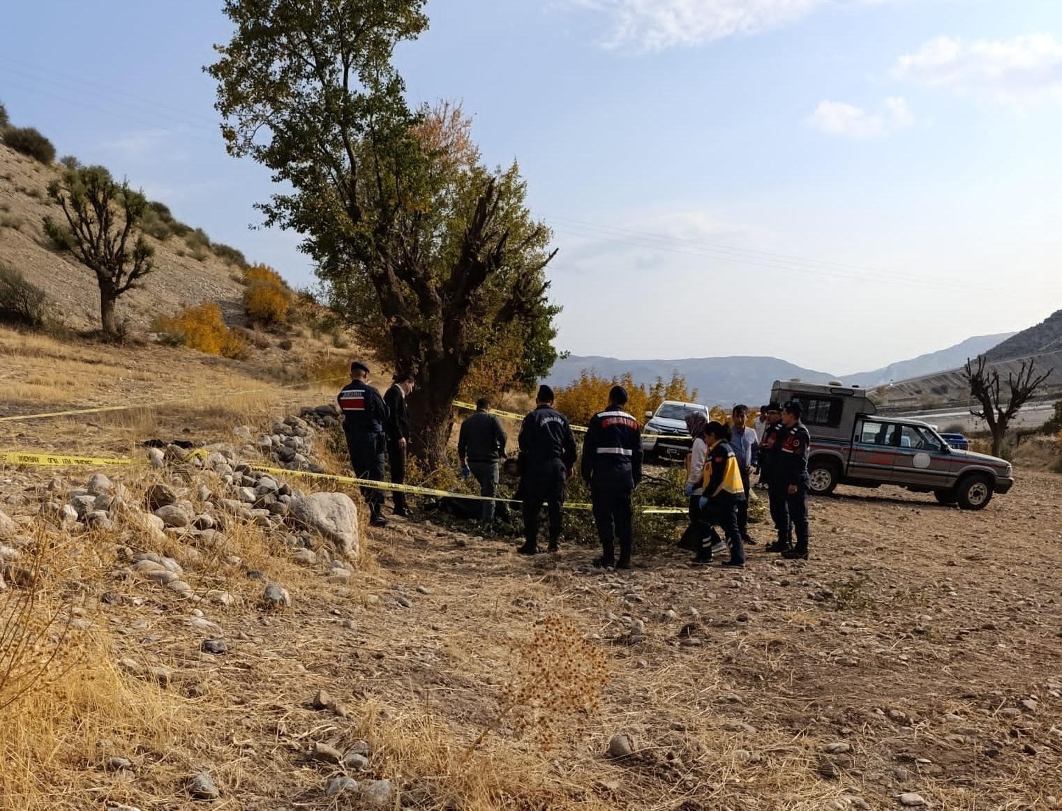 Ağaç budarken dengesini kaybeden adam yaşamını yitirdi