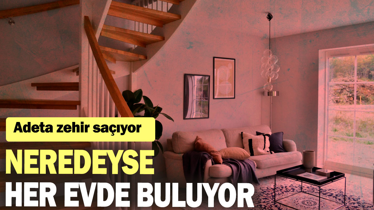 Neredeyse her evde buluyor: Adeta zehir saçıyor