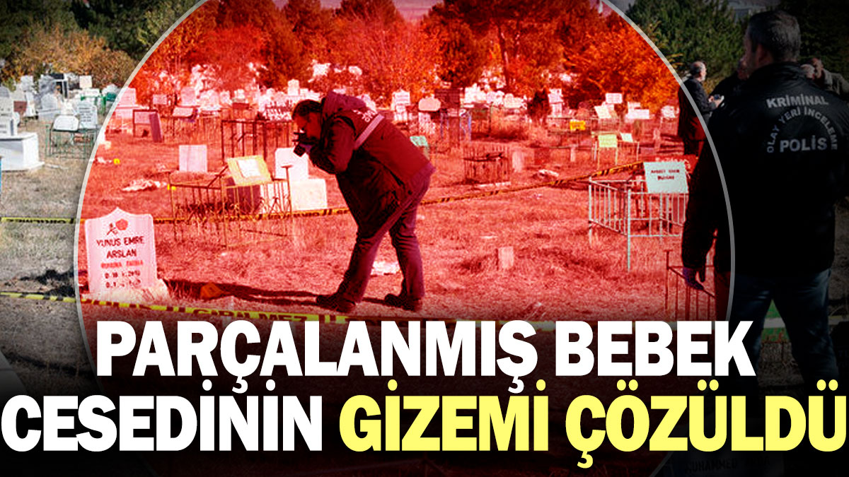 Parçalanmış bebek cesedinin gizemi çözüldü!