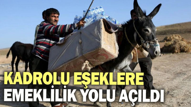 Kadrolu eşeklere emeklilik yolu açıldı